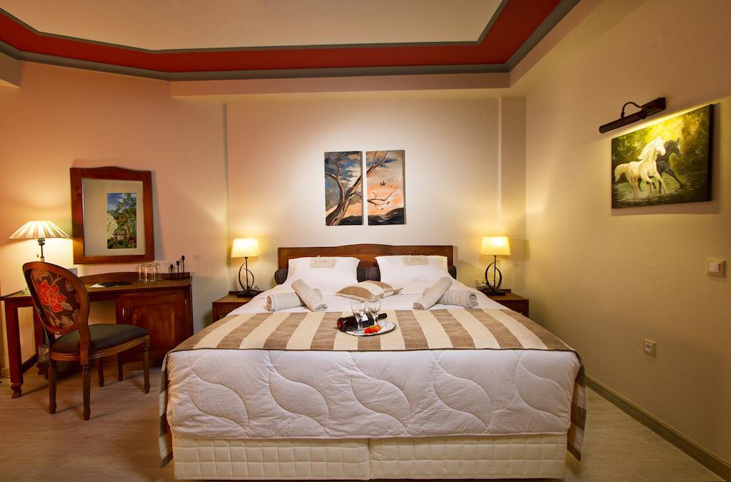 Hotel Rodovoli Konitsa Pokoj fotografie