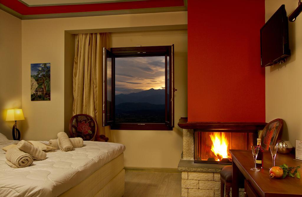 Hotel Rodovoli Konitsa Pokoj fotografie
